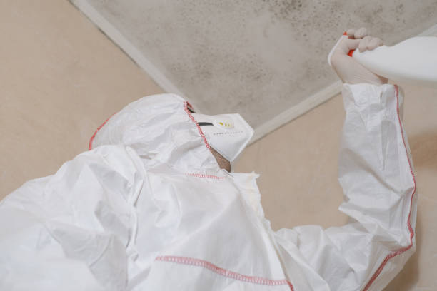 Best Crawl Space Mold Removal  in Granger, TX